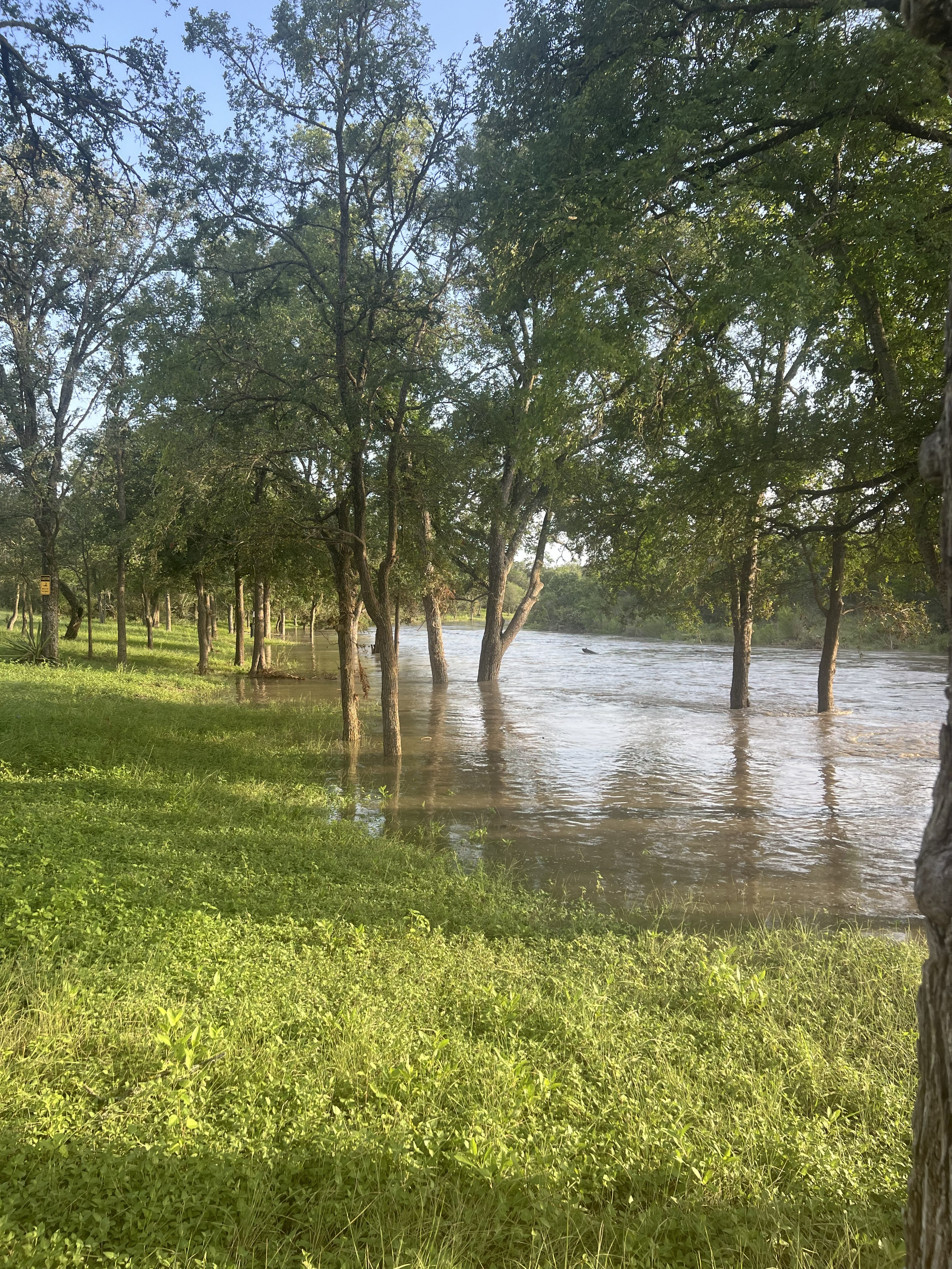 Credit: Ariana Contreras. Taken on part of San Geronimo Creek at road crossing. This is after the flash flooding on July 15, 2026 began.